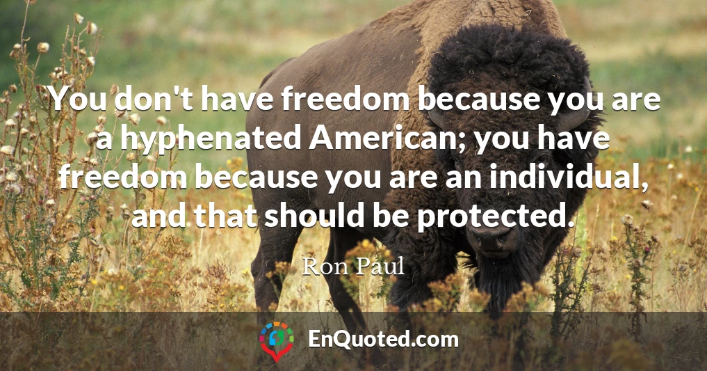 You don't have freedom because you are a hyphenated American; you have freedom because you are an individual, and that should be protected.
