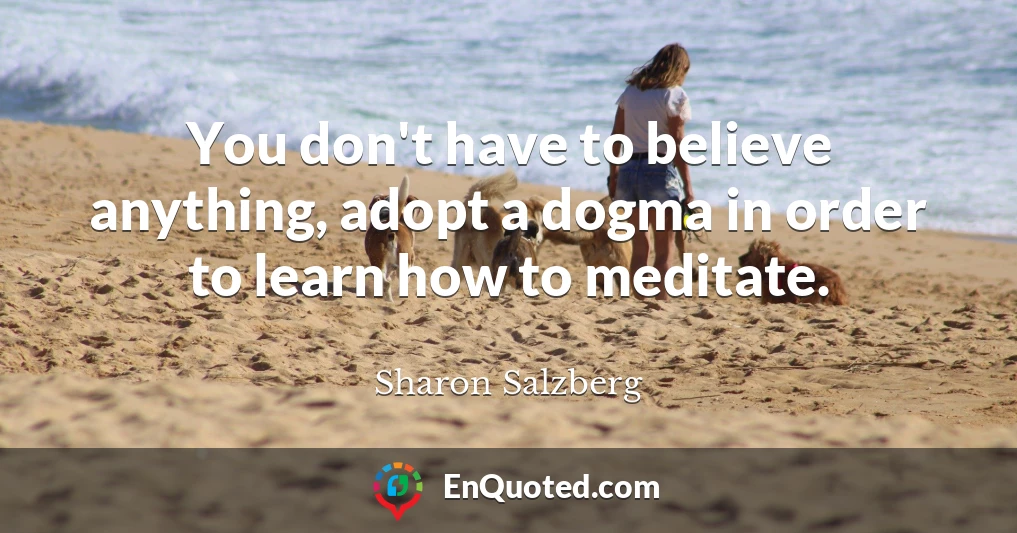 You don't have to believe anything, adopt a dogma in order to learn how to meditate.