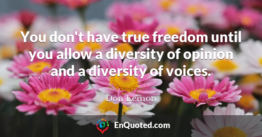 You don't have true freedom until you allow a diversity of opinion and a diversity of voices.