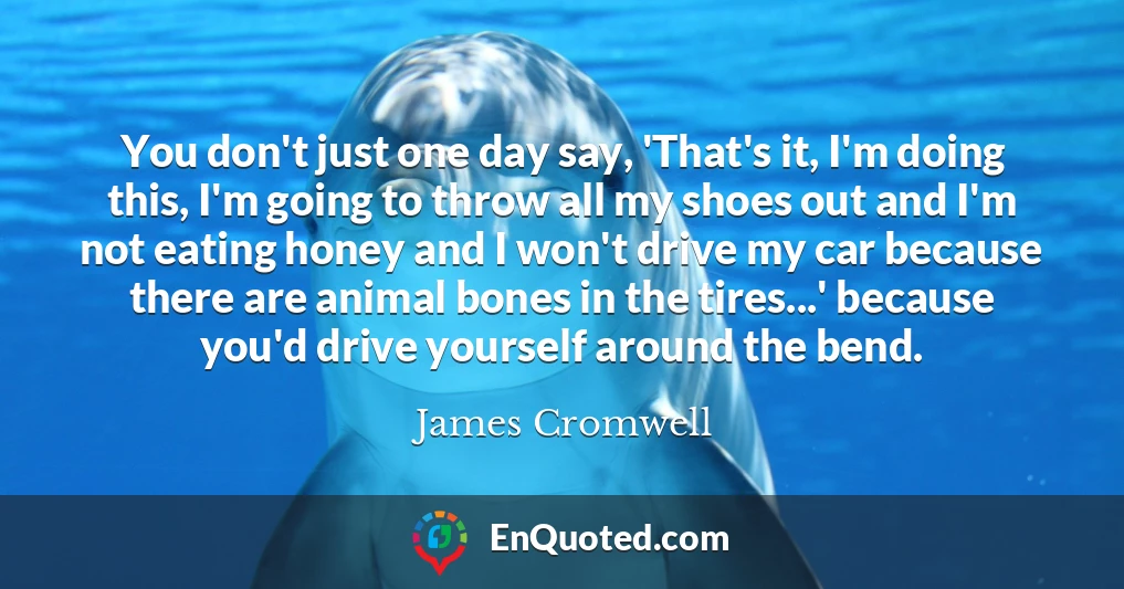 You don't just one day say, 'That's it, I'm doing this, I'm going to throw all my shoes out and I'm not eating honey and I won't drive my car because there are animal bones in the tires...' because you'd drive yourself around the bend.