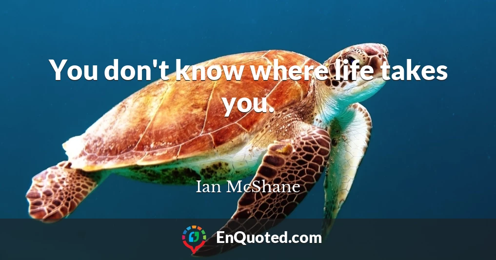 You don't know where life takes you.