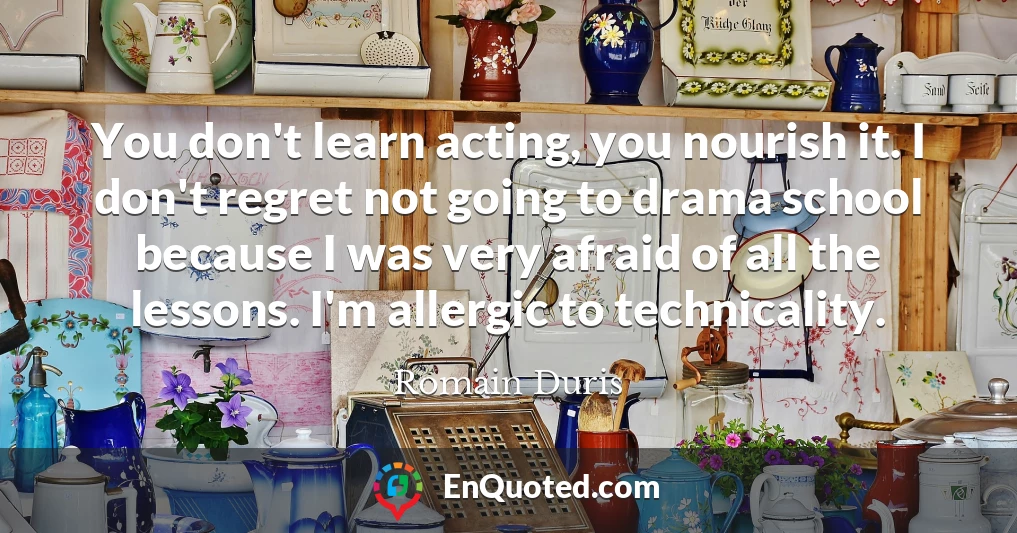 You don't learn acting, you nourish it. I don't regret not going to drama school because I was very afraid of all the lessons. I'm allergic to technicality.