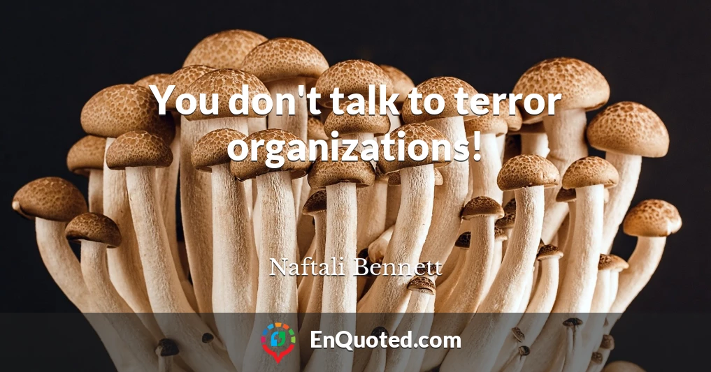 You don't talk to terror organizations!