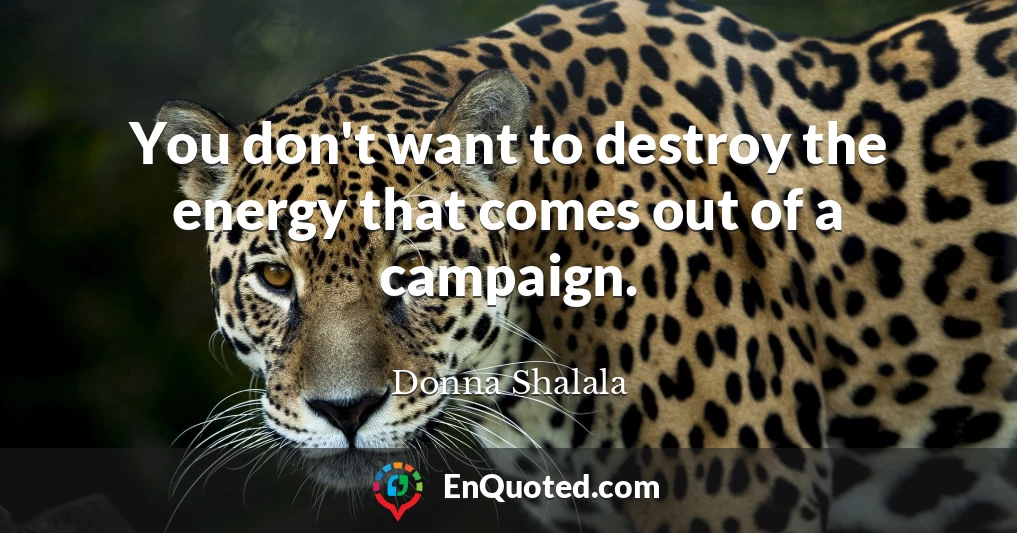 You don't want to destroy the energy that comes out of a campaign.
