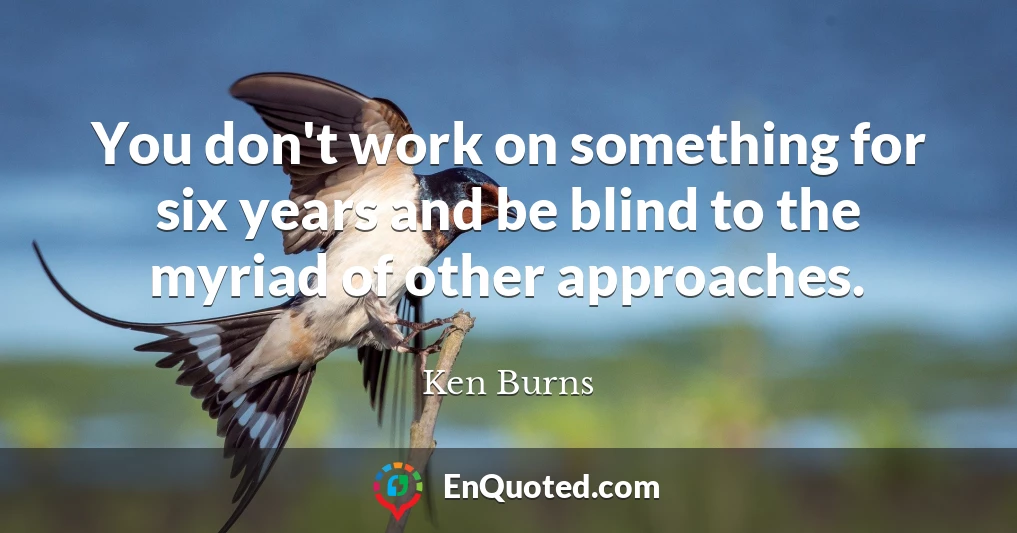 You don't work on something for six years and be blind to the myriad of other approaches.
