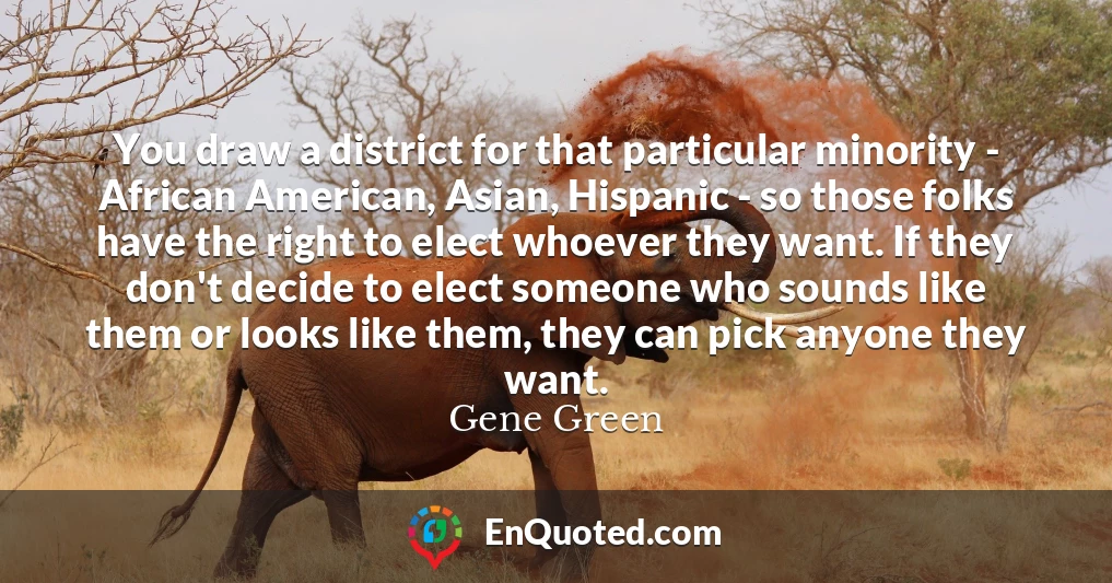 You draw a district for that particular minority - African American, Asian, Hispanic - so those folks have the right to elect whoever they want. If they don't decide to elect someone who sounds like them or looks like them, they can pick anyone they want.