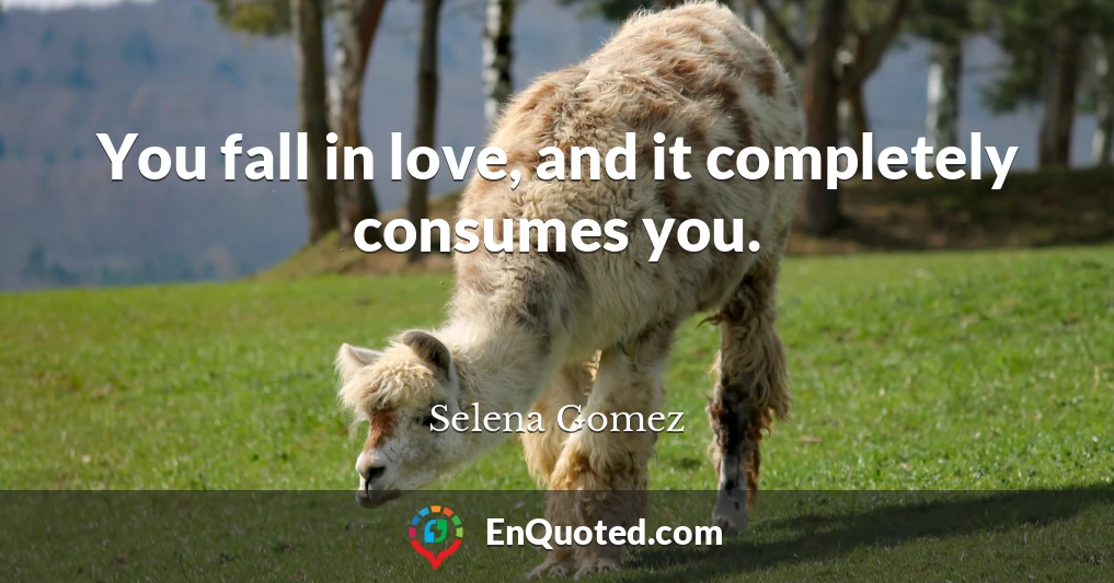 You fall in love, and it completely consumes you.