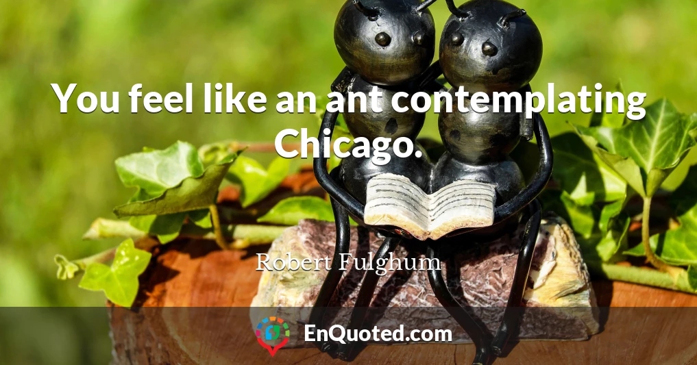 You feel like an ant contemplating Chicago.