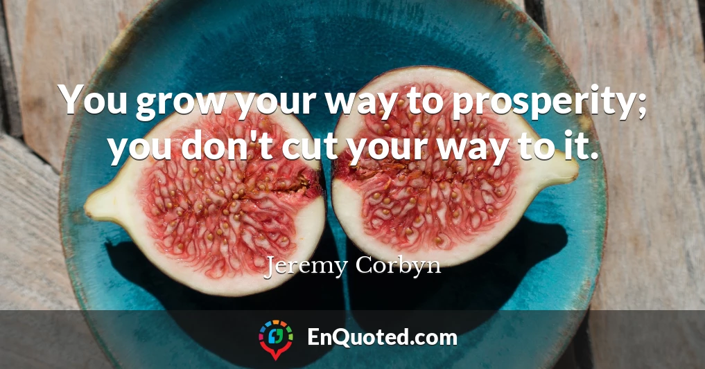 You grow your way to prosperity; you don't cut your way to it.