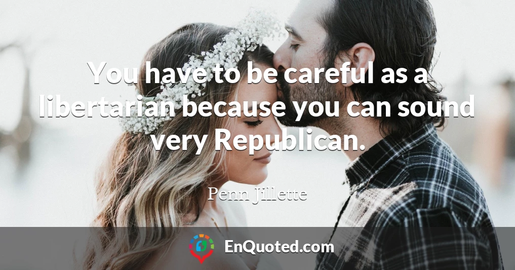 You have to be careful as a libertarian because you can sound very Republican.