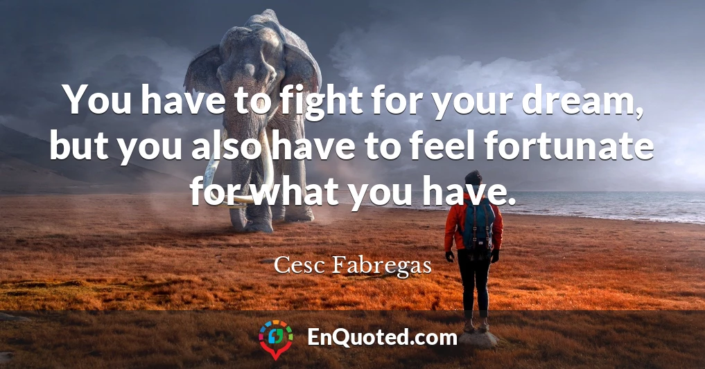 You have to fight for your dream, but you also have to feel fortunate for what you have.
