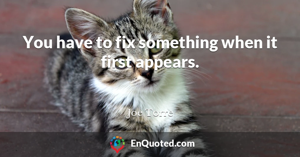 You have to fix something when it first appears.