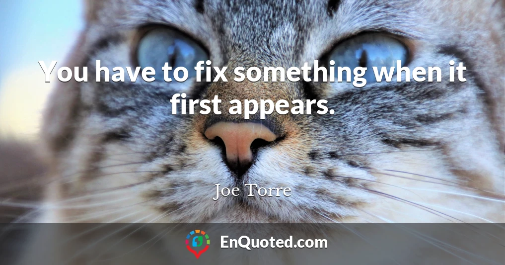 You have to fix something when it first appears.