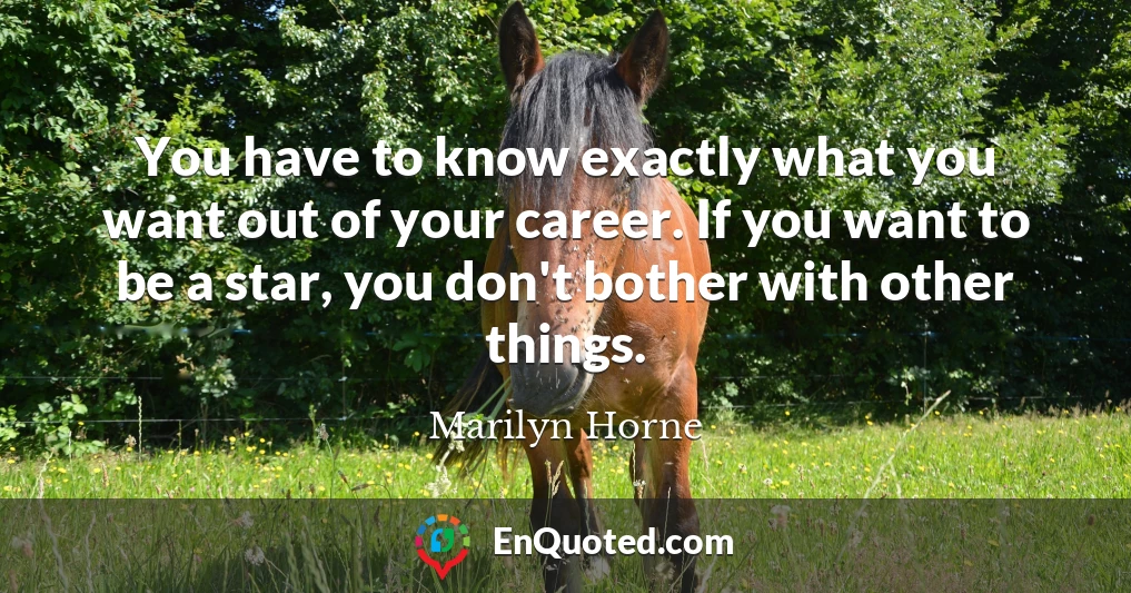 You have to know exactly what you want out of your career. If you want to be a star, you don't bother with other things.