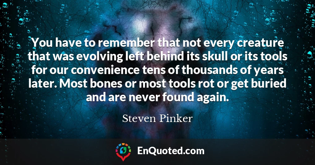You have to remember that not every creature that was evolving left behind its skull or its tools for our convenience tens of thousands of years later. Most bones or most tools rot or get buried and are never found again.