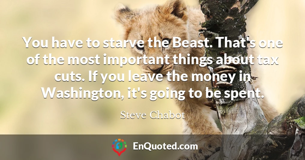 You have to starve the Beast. That's one of the most important things about tax cuts. If you leave the money in Washington, it's going to be spent.