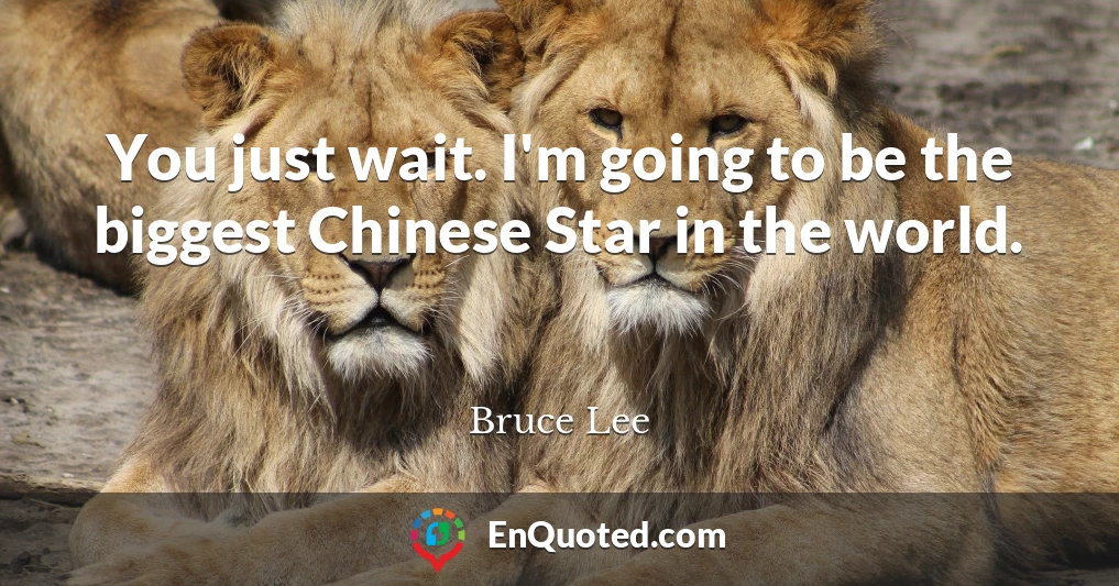 You just wait. I'm going to be the biggest Chinese Star in the world.