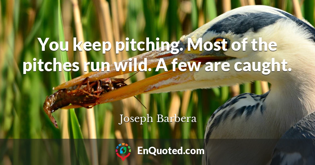 You keep pitching. Most of the pitches run wild. A few are caught.