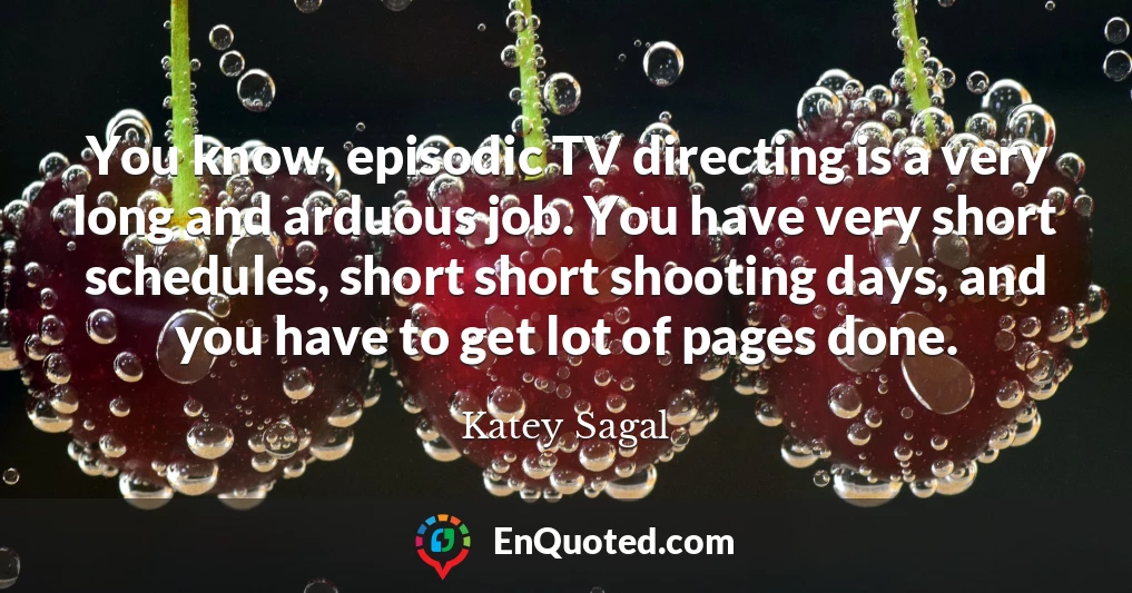 You know, episodic TV directing is a very long and arduous job. You have very short schedules, short short shooting days, and you have to get lot of pages done.