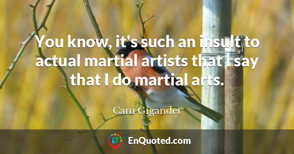 You know, it's such an insult to actual martial artists that I say that I do martial arts.