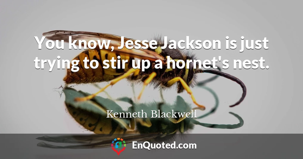 You know, Jesse Jackson is just trying to stir up a hornet's nest.