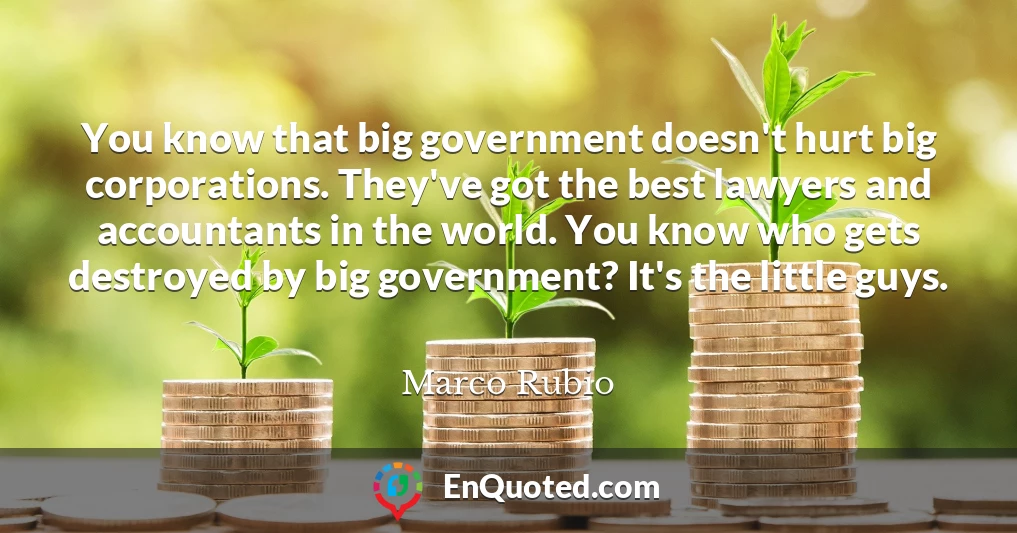 You know that big government doesn't hurt big corporations. They've got the best lawyers and accountants in the world. You know who gets destroyed by big government? It's the little guys.