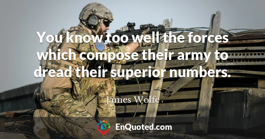 You know too well the forces which compose their army to dread their superior numbers.