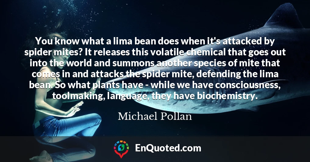 You know what a lima bean does when it's attacked by spider mites? It releases this volatile chemical that goes out into the world and summons another species of mite that comes in and attacks the spider mite, defending the lima bean. So what plants have - while we have consciousness, toolmaking, language, they have biochemistry.