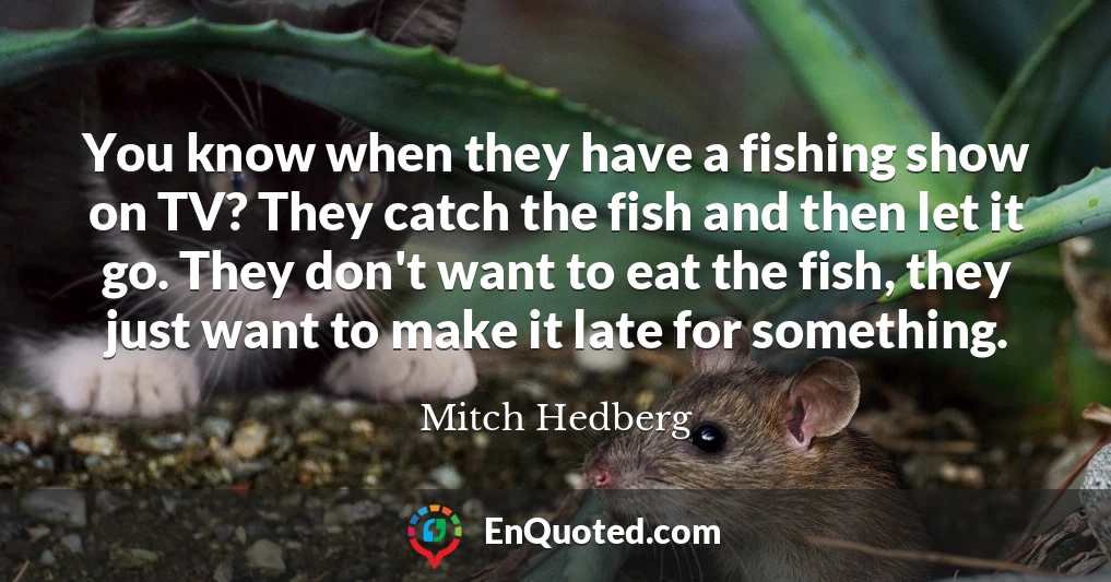 You know when they have a fishing show on TV? They catch the fish and then let it go. They don't want to eat the fish, they just want to make it late for something.