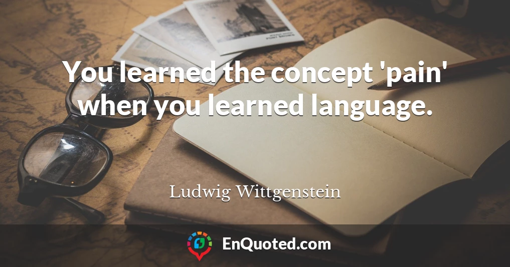 You learned the concept 'pain' when you learned language.