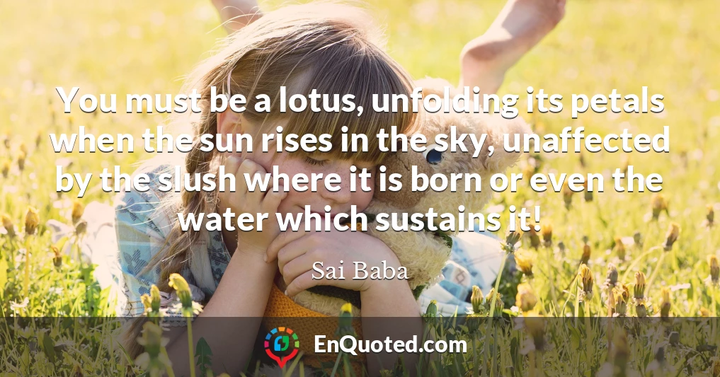 You must be a lotus, unfolding its petals when the sun rises in the sky, unaffected by the slush where it is born or even the water which sustains it!