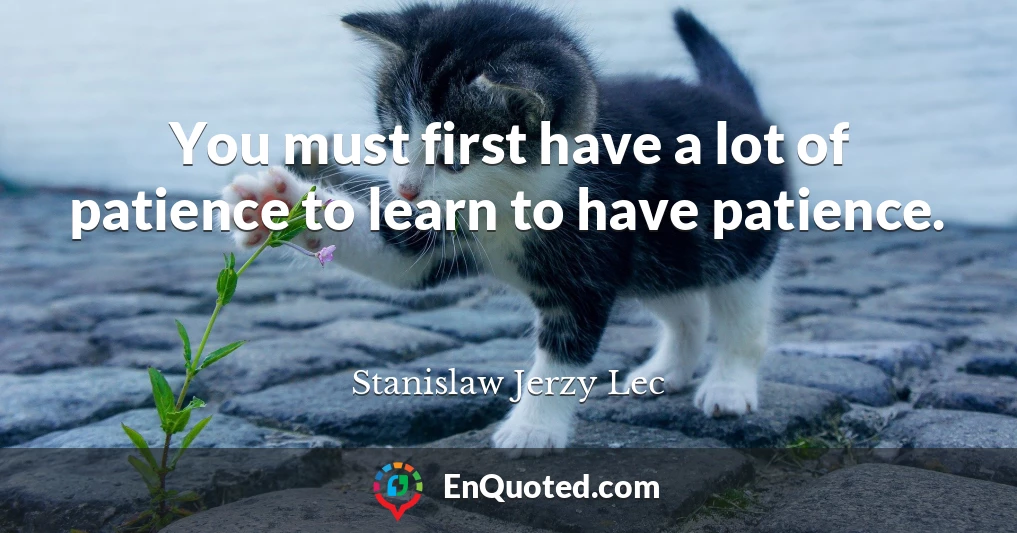 You must first have a lot of patience to learn to have patience.