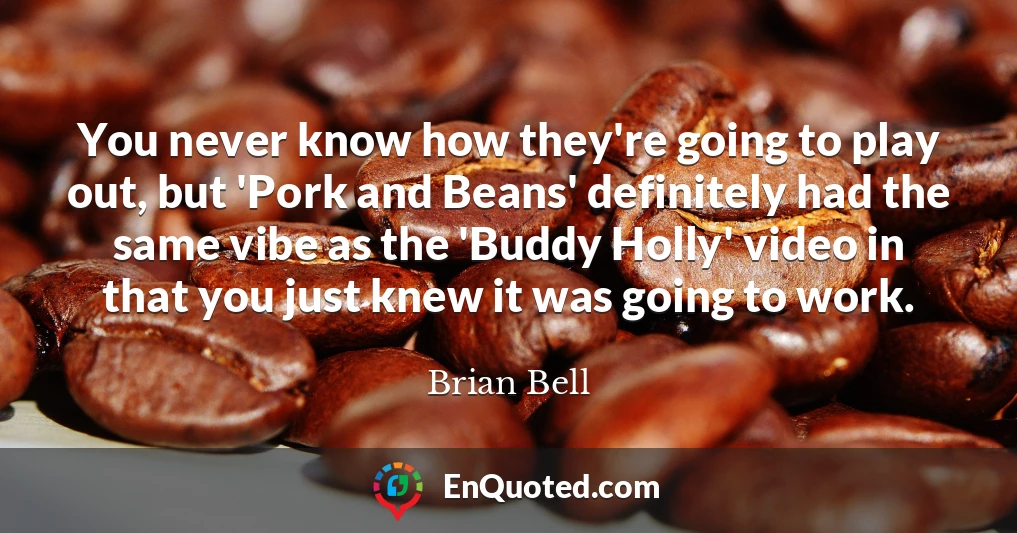 You never know how they're going to play out, but 'Pork and Beans' definitely had the same vibe as the 'Buddy Holly' video in that you just knew it was going to work.