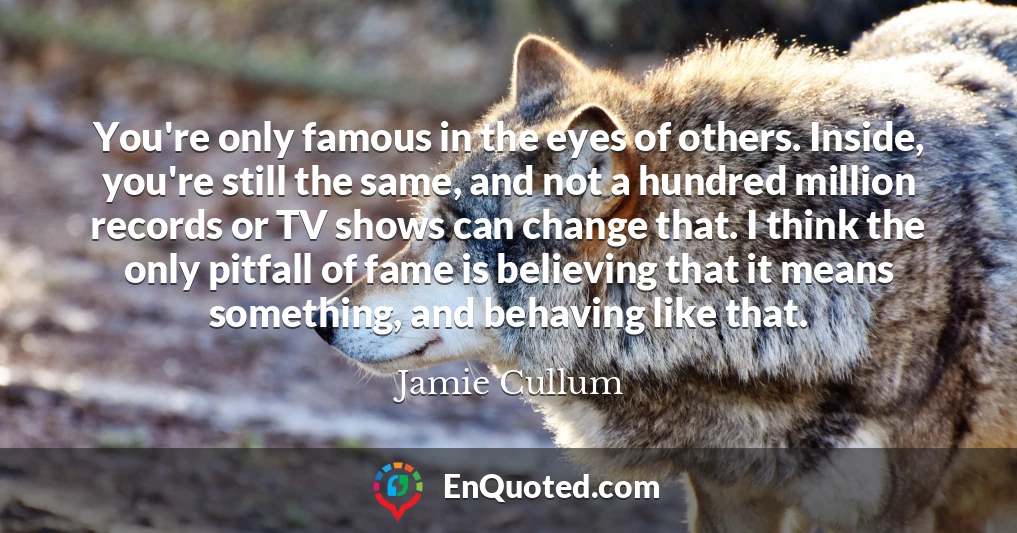 You're only famous in the eyes of others. Inside, you're still the same, and not a hundred million records or TV shows can change that. I think the only pitfall of fame is believing that it means something, and behaving like that.
