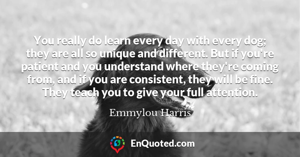 You really do learn every day with every dog; they are all so unique and different. But if you're patient and you understand where they're coming from, and if you are consistent, they will be fine. They teach you to give your full attention.