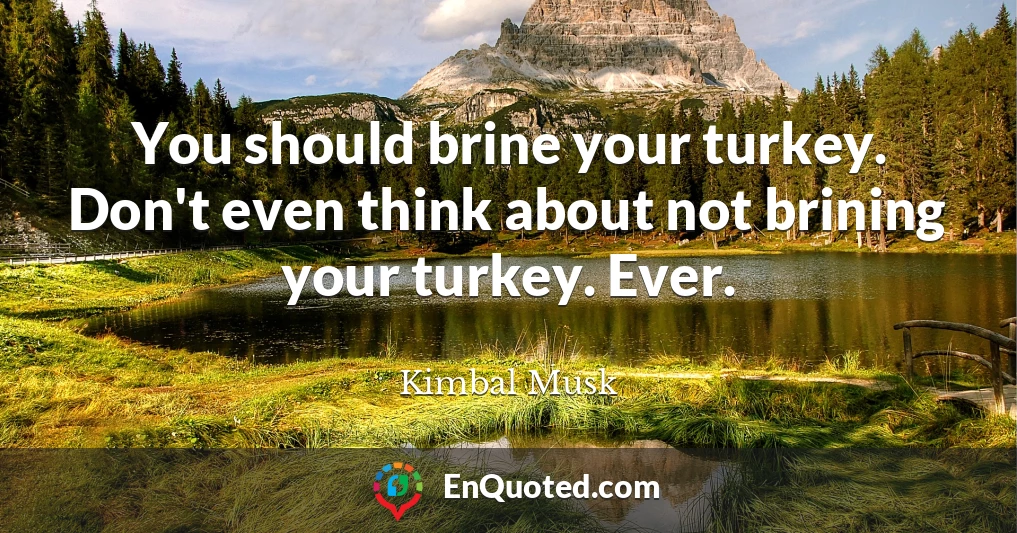 You should brine your turkey. Don't even think about not brining your turkey. Ever.