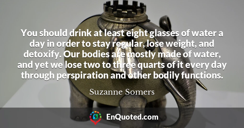 You should drink at least eight glasses of water a day in order to stay regular, lose weight, and detoxify. Our bodies are mostly made of water, and yet we lose two to three quarts of it every day through perspiration and other bodily functions.