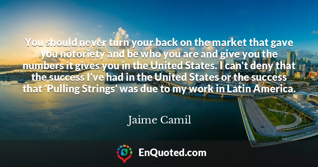 You should never turn your back on the market that gave you notoriety and be who you are and give you the numbers it gives you in the United States. I can't deny that the success I've had in the United States or the success that 'Pulling Strings' was due to my work in Latin America.