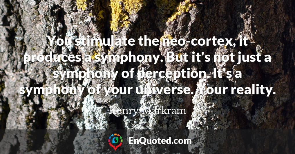 You stimulate the neo-cortex, it produces a symphony. But it's not just a symphony of perception. It's a symphony of your universe. Your reality.