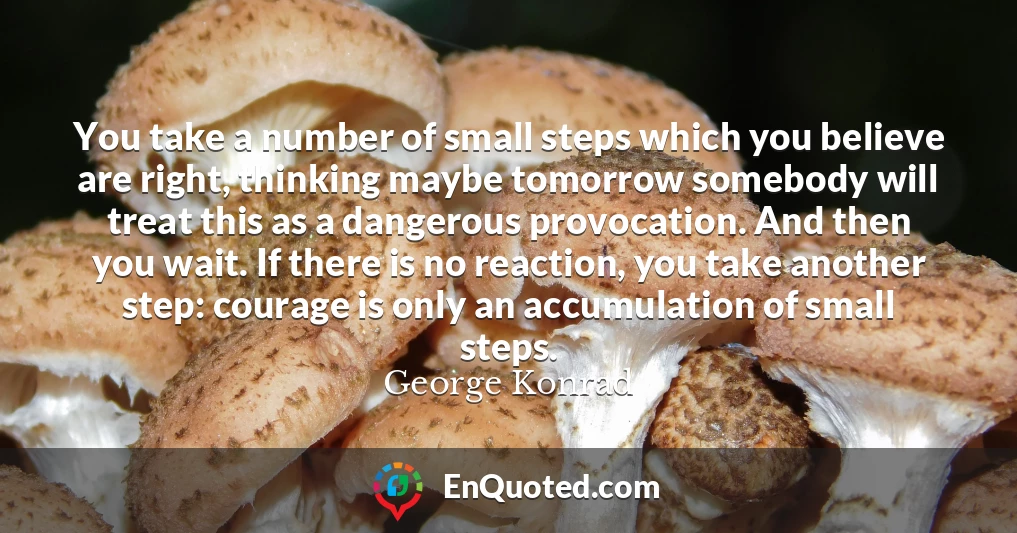 You take a number of small steps which you believe are right, thinking maybe tomorrow somebody will treat this as a dangerous provocation. And then you wait. If there is no reaction, you take another step: courage is only an accumulation of small steps.