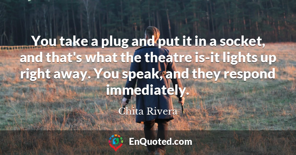You take a plug and put it in a socket, and that's what the theatre is-it lights up right away. You speak, and they respond immediately.