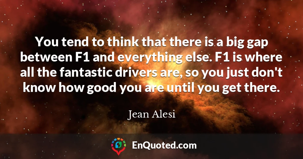 You tend to think that there is a big gap between F1 and everything else. F1 is where all the fantastic drivers are, so you just don't know how good you are until you get there.