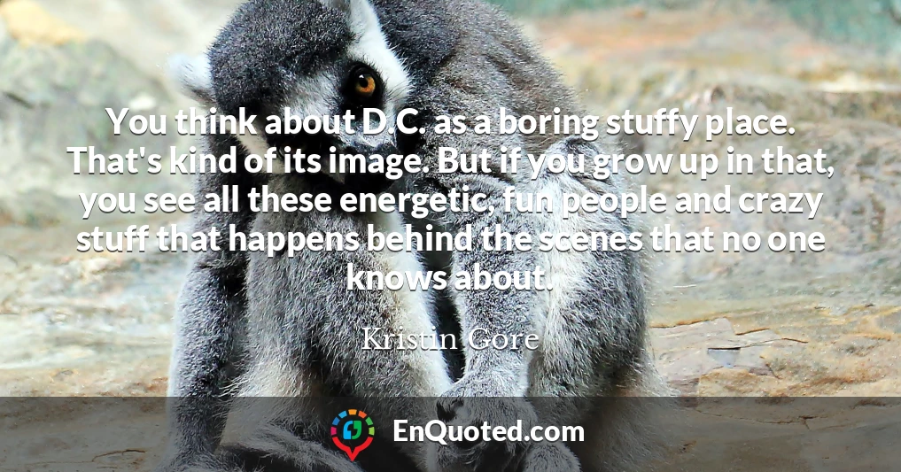 You think about D.C. as a boring stuffy place. That's kind of its image. But if you grow up in that, you see all these energetic, fun people and crazy stuff that happens behind the scenes that no one knows about.