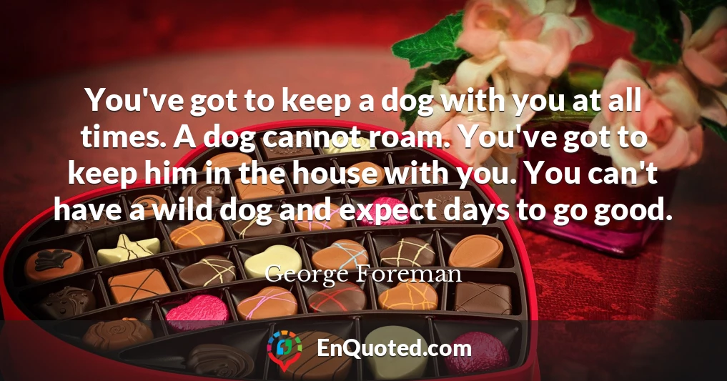 You've got to keep a dog with you at all times. A dog cannot roam. You've got to keep him in the house with you. You can't have a wild dog and expect days to go good.