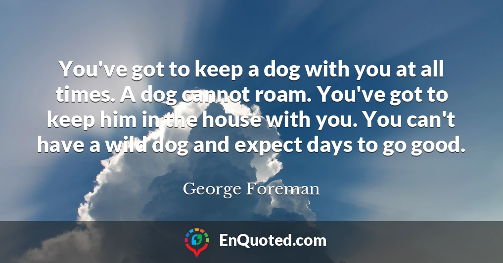 You've got to keep a dog with you at all times. A dog cannot roam. You've got to keep him in the house with you. You can't have a wild dog and expect days to go good.