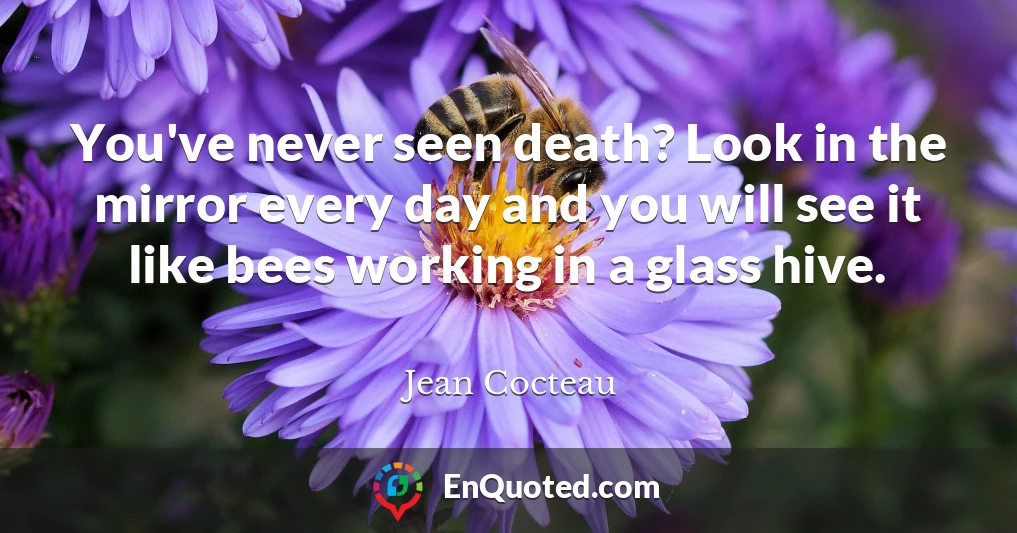 You've never seen death? Look in the mirror every day and you will see it like bees working in a glass hive.