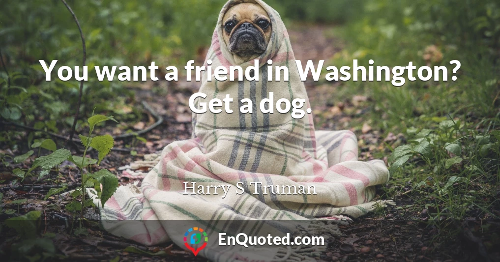 You want a friend in Washington? Get a dog.