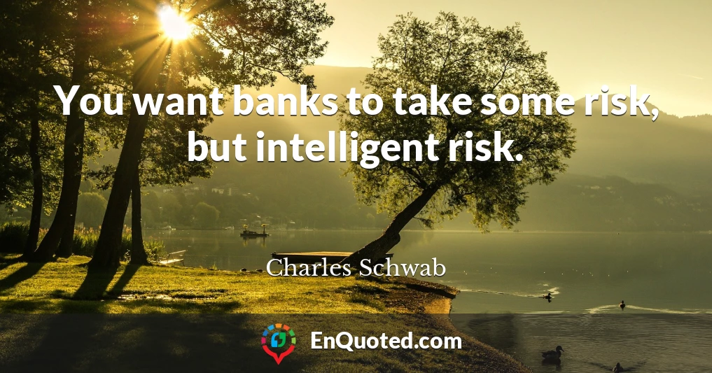 You want banks to take some risk, but intelligent risk.