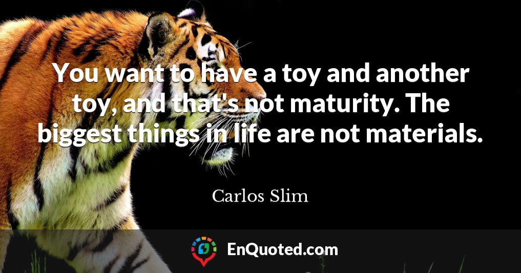 You want to have a toy and another toy, and that's not maturity. The biggest things in life are not materials.