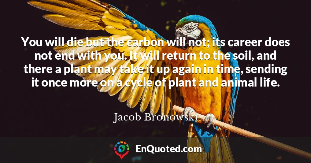 You will die but the carbon will not; its career does not end with you. It will return to the soil, and there a plant may take it up again in time, sending it once more on a cycle of plant and animal life.